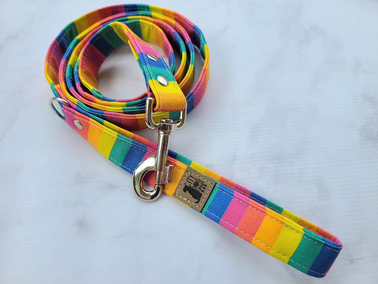 Pride Dog Leash - Rainbow Stripe