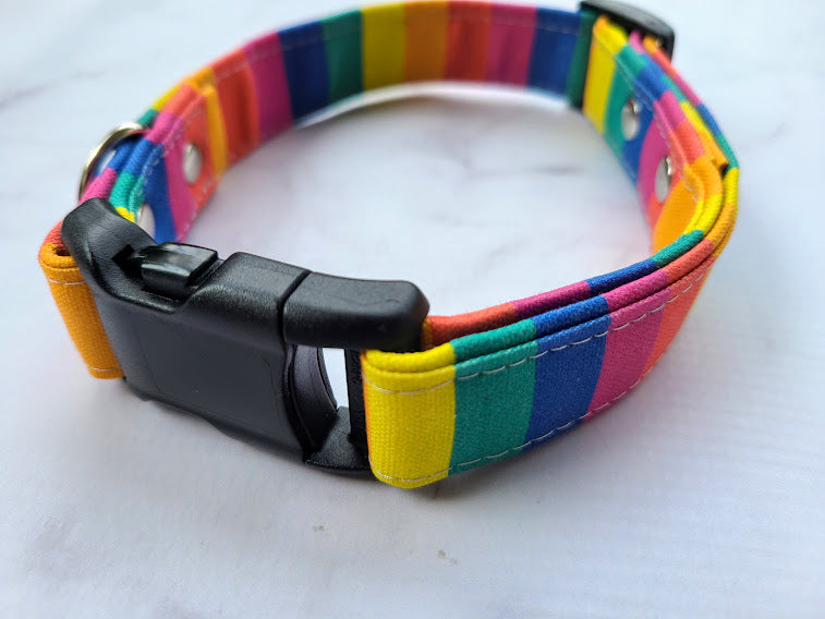 Pride Dog Collar - Rainbow Stripe