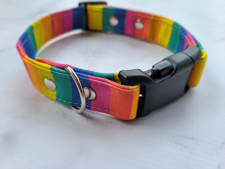 Pride Dog Collar - Rainbow Stripe